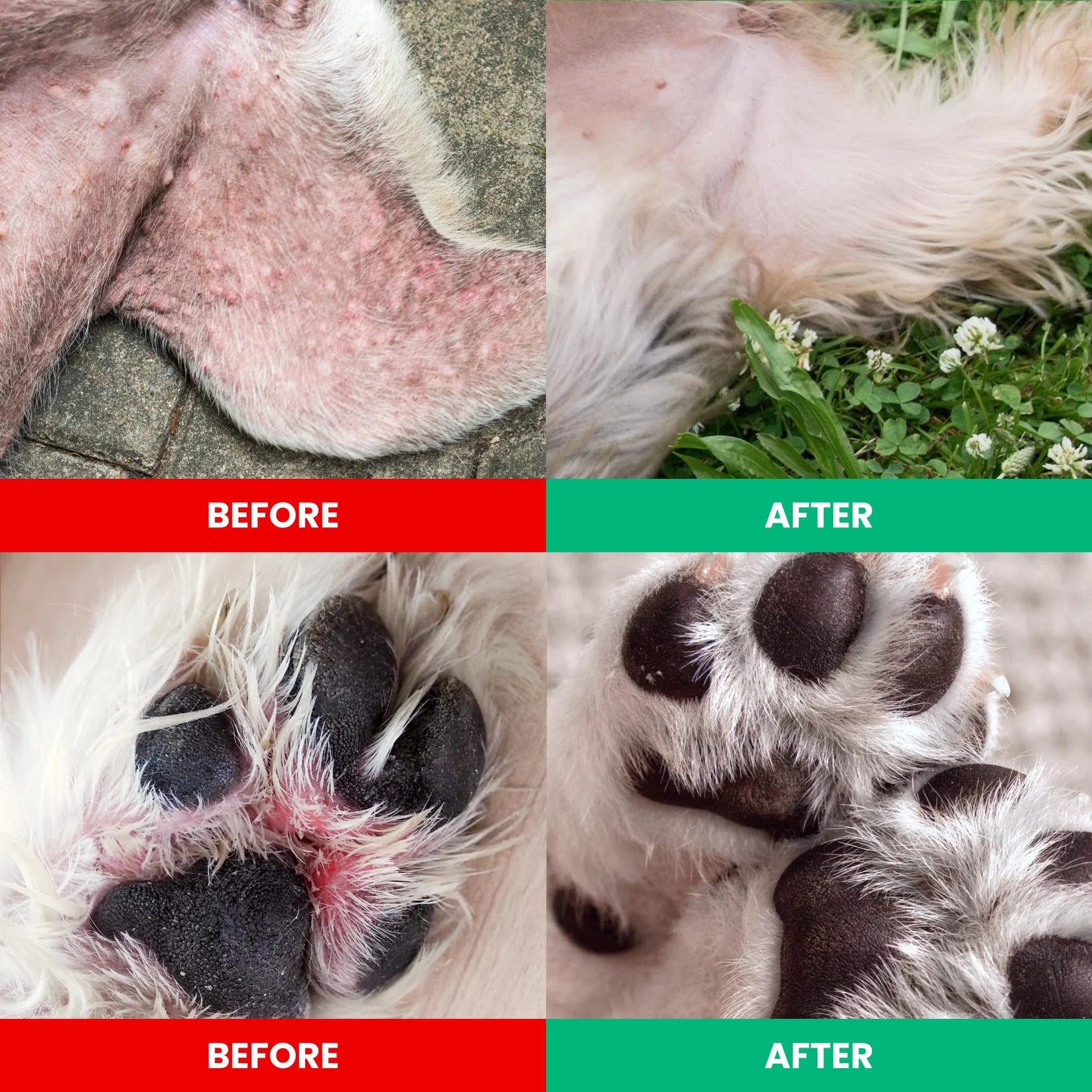 PetCore Allergy and Itch Chews