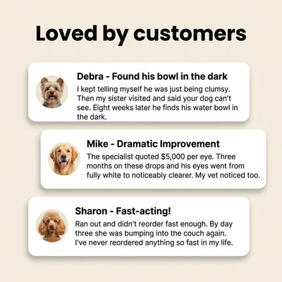 PetCore™ Nano-Drops — Advanced Vision Support for Dogs