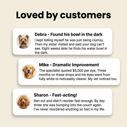 PetCore™ Nano-Drops — Advanced Vision Support for Dogs